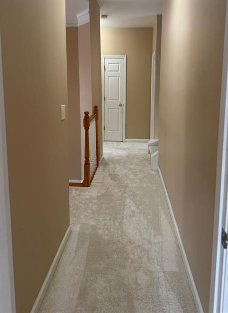 Photo #23
