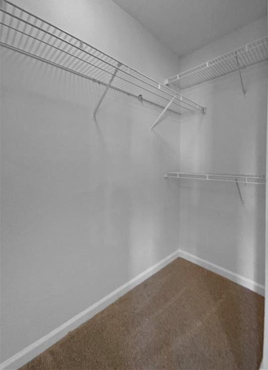 Photo #15