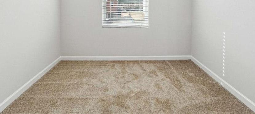 Photo #19