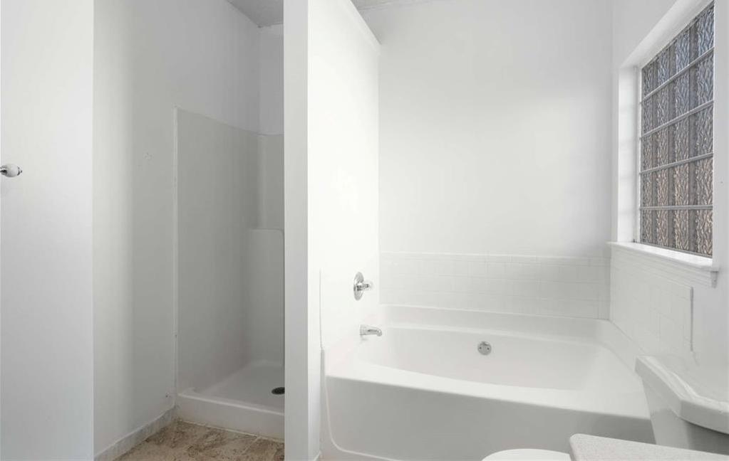 Photo #15