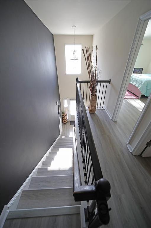 Photo #13
