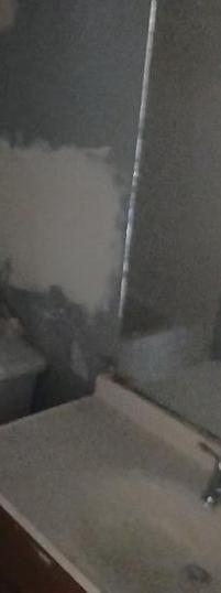 Photo #11