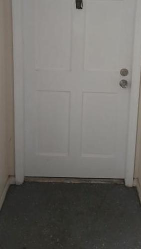 Photo #4