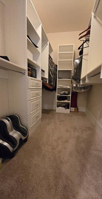 Photo #74