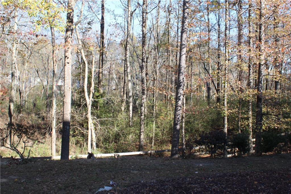 Photo #51
