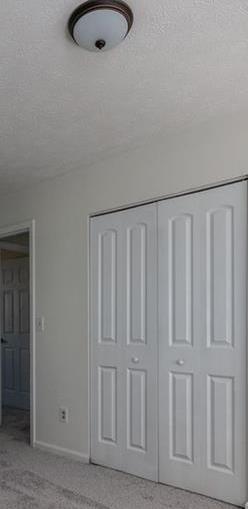 Photo #14