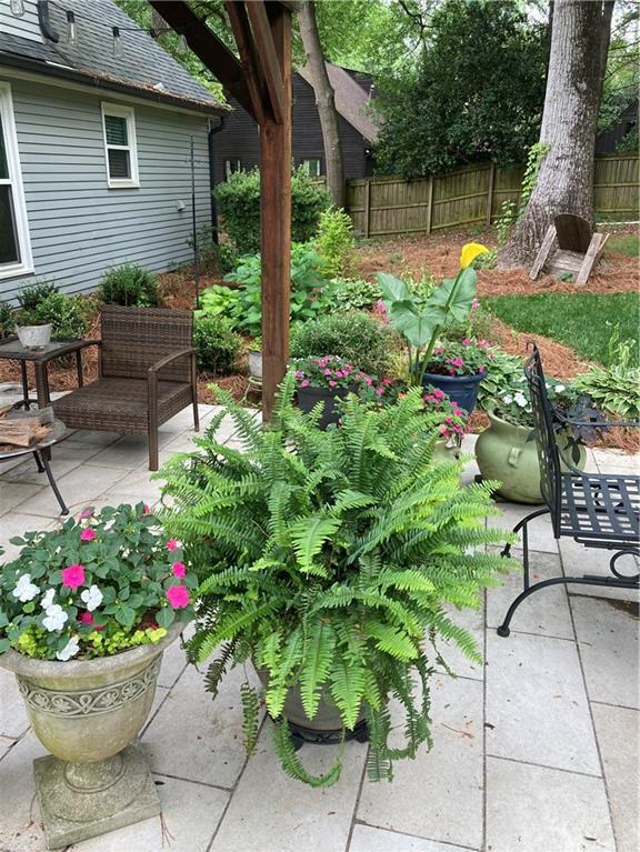 Photo #38
