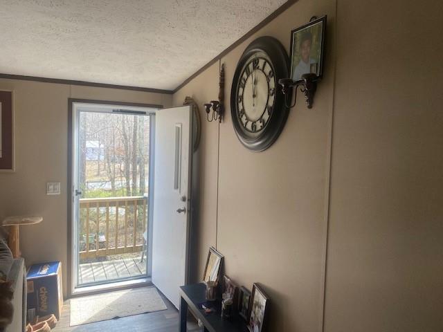 Photo #8