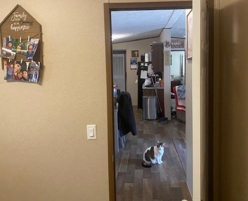 Photo #19