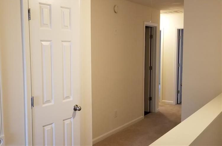 Photo #6