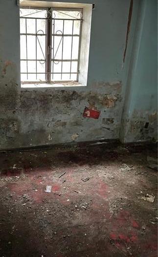 Photo #10