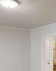 Photo #3
