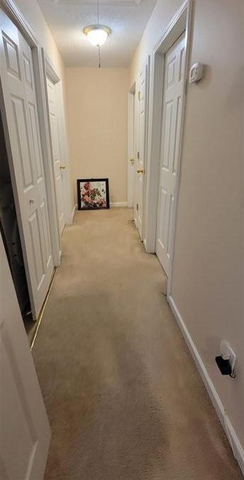 Photo #13