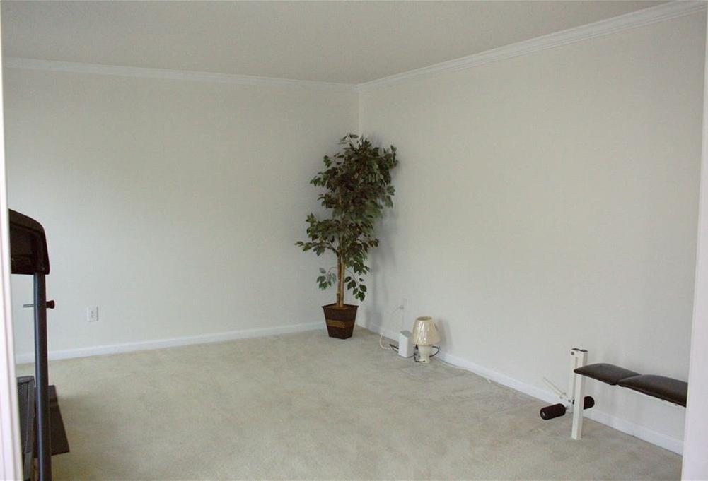 Photo #4