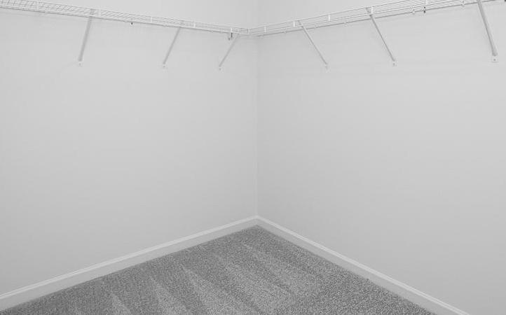 Photo #19