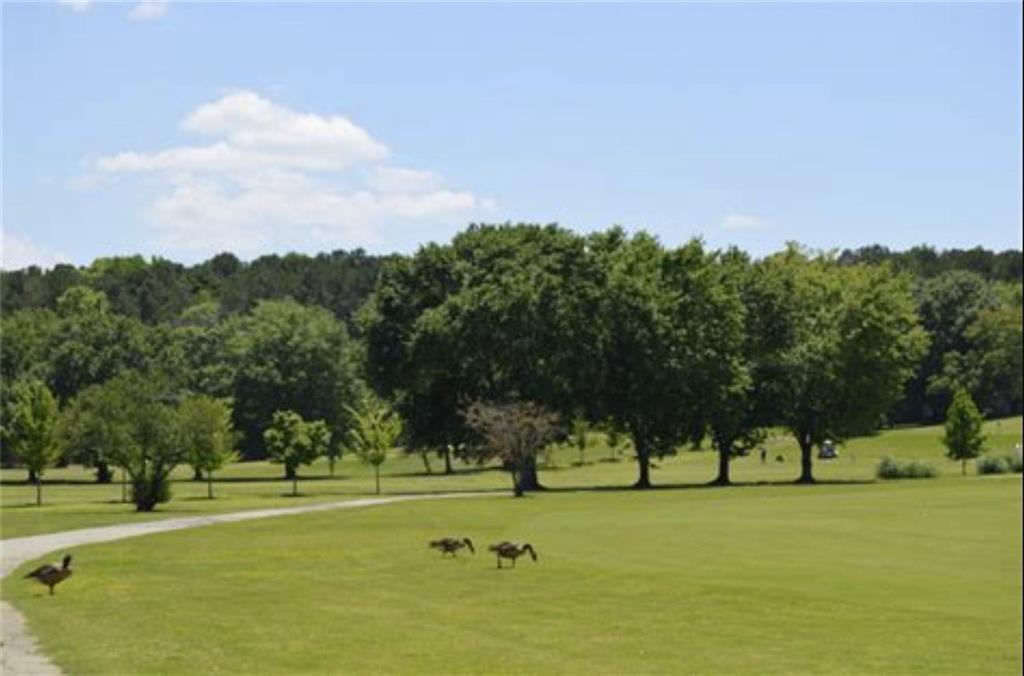 Photo #43