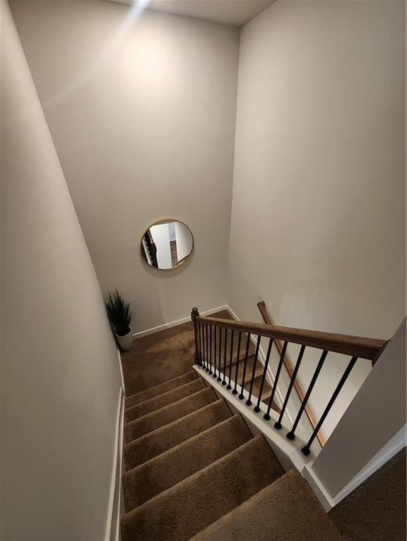 Photo #14