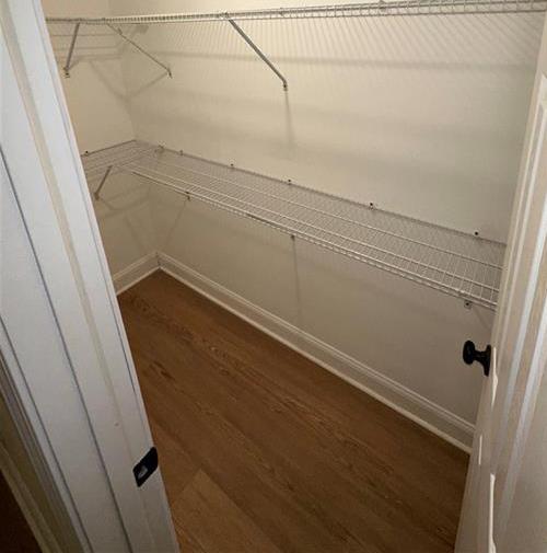 Photo #14