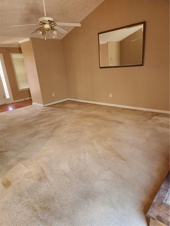 Photo #4