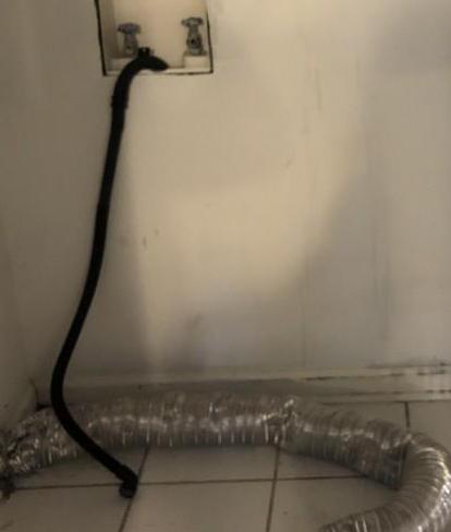 Photo #4