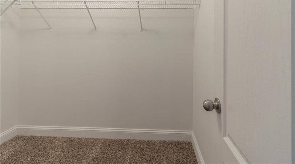 Photo #14