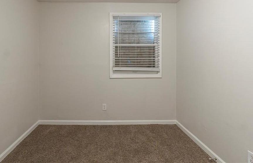 Photo #12