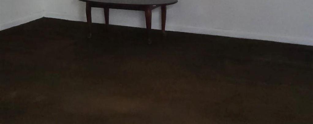 Photo #3