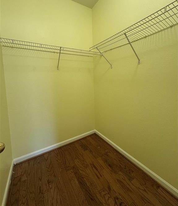 Photo #8