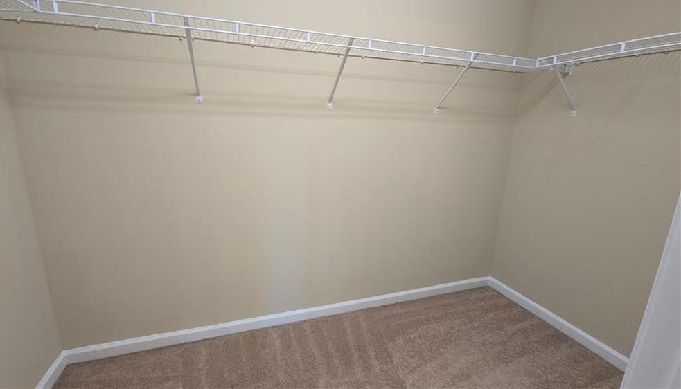 Photo #41