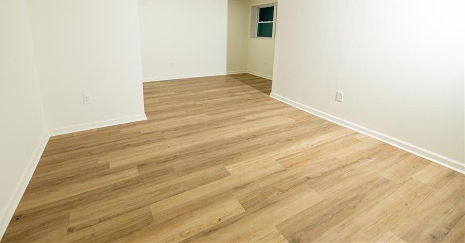Photo #14
