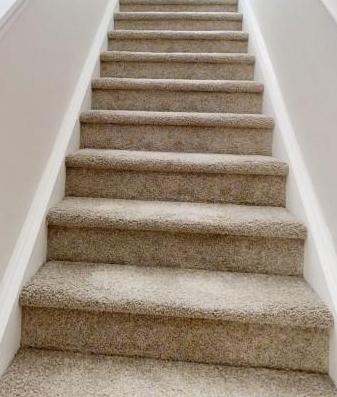Photo #15