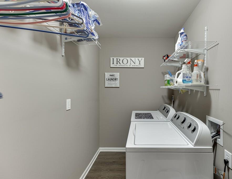 Photo #41