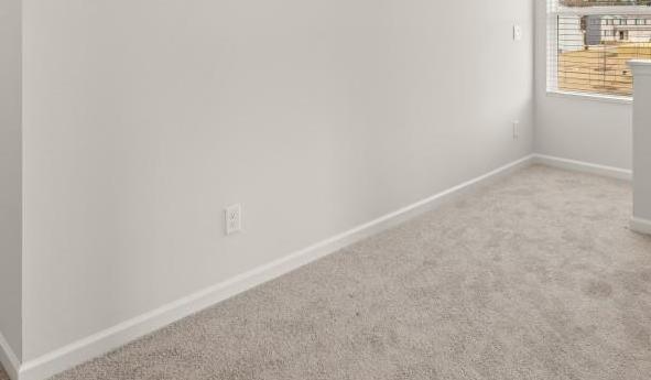 Photo #15
