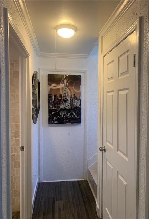 Photo #28