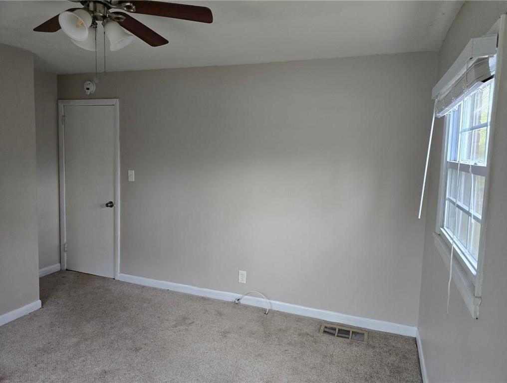 Photo #8