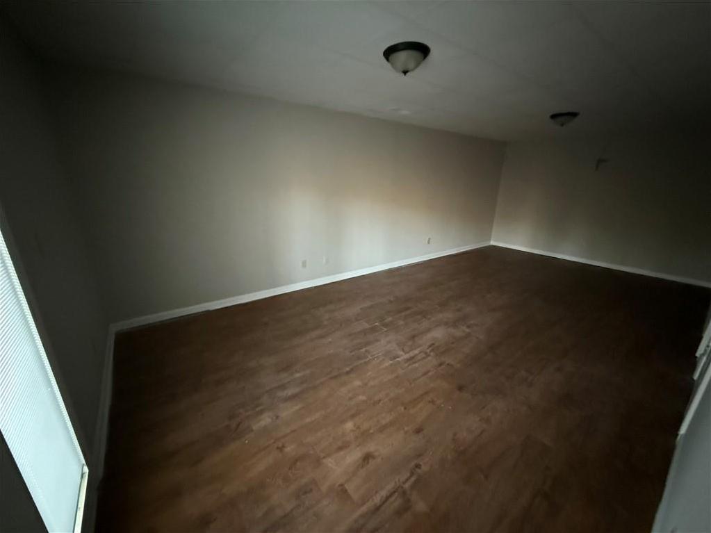 Photo #12
