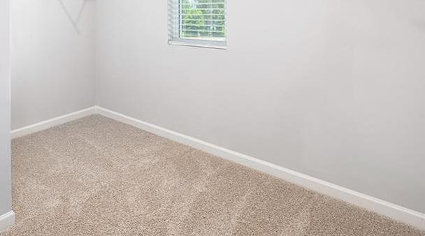 Photo #14