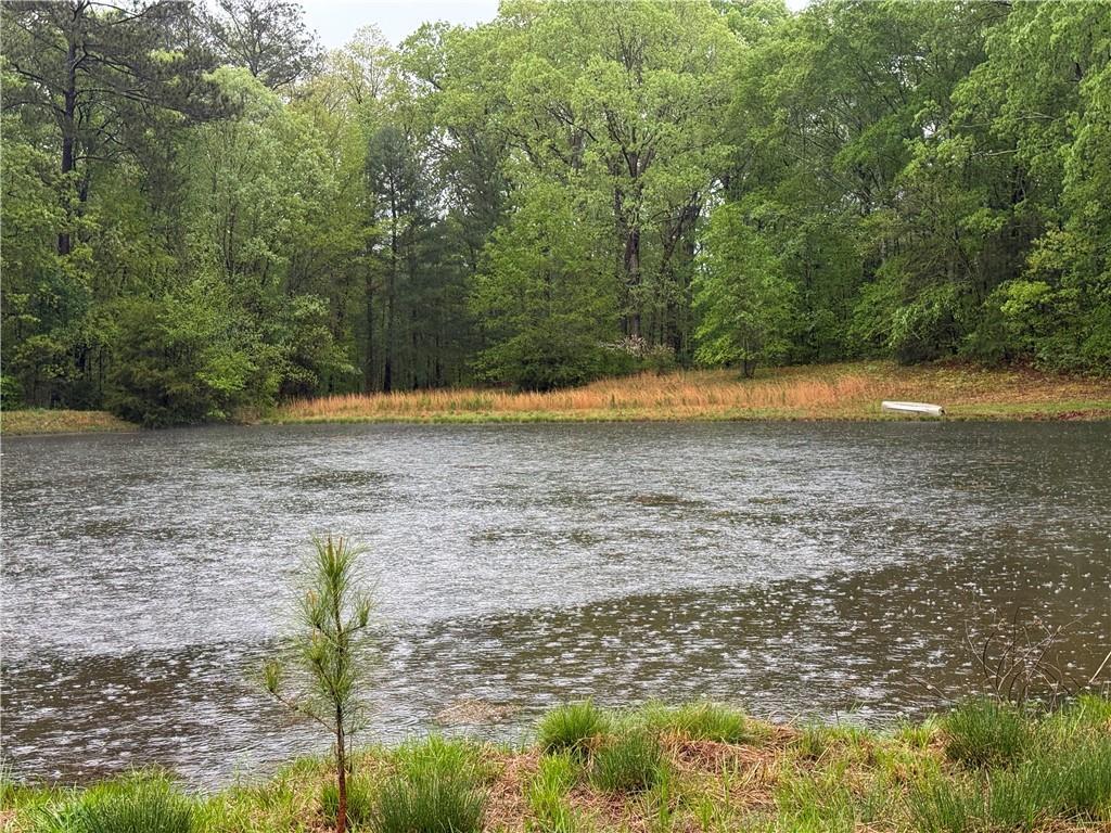 Photo #42