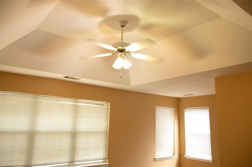 Photo #5