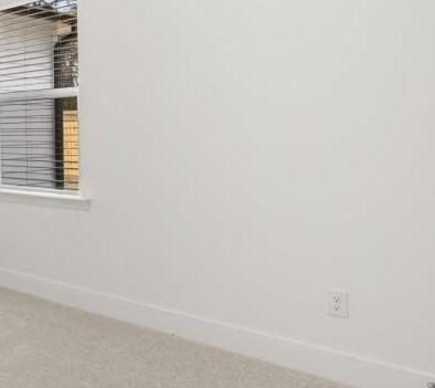 Photo #16