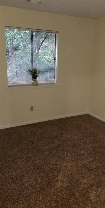 Photo #14