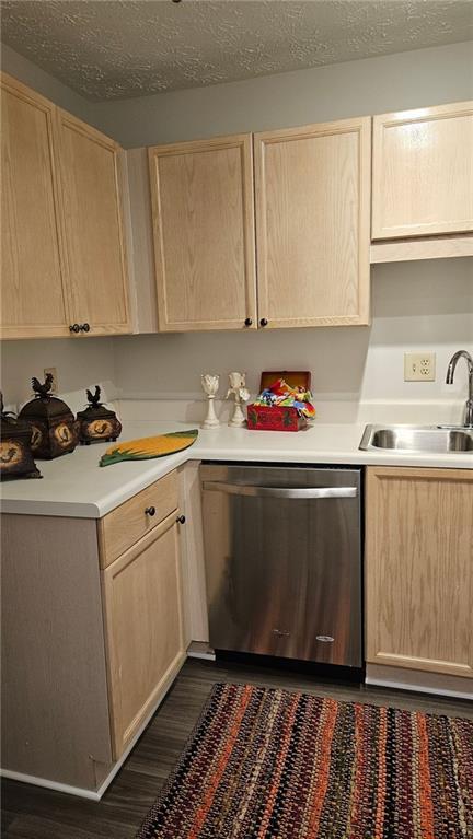 Photo #13