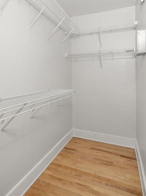 Photo #16