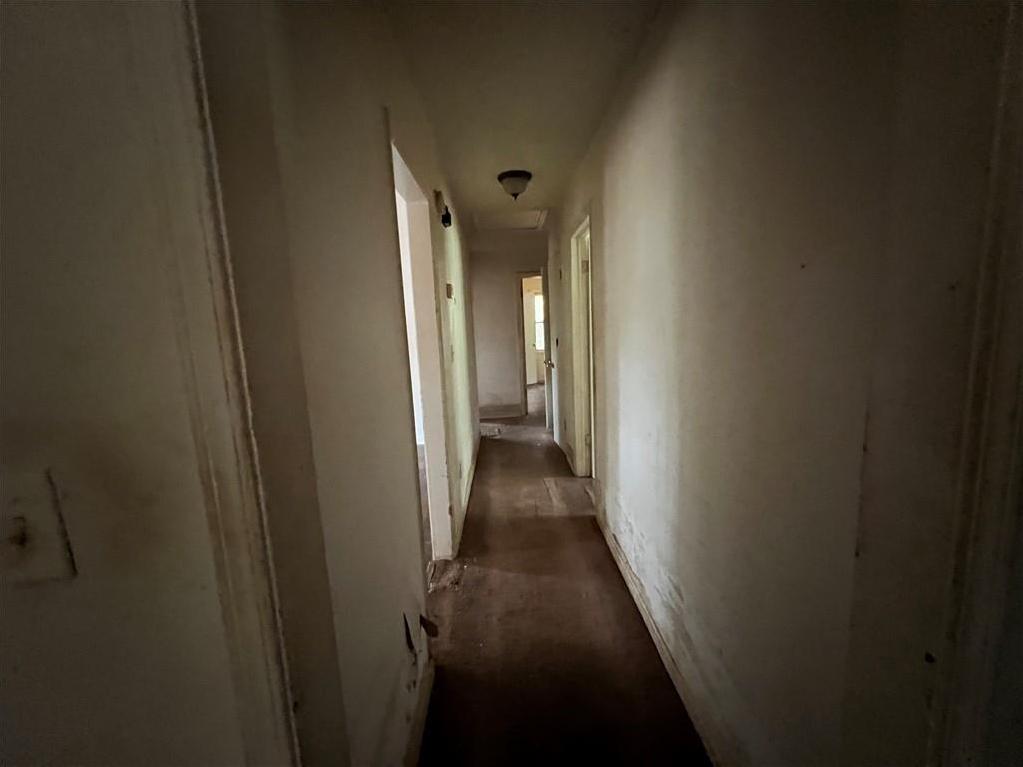 Photo #11