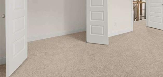 Photo #16