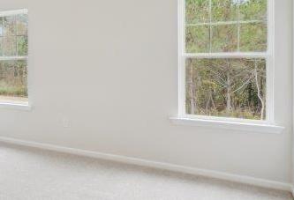 Photo #14