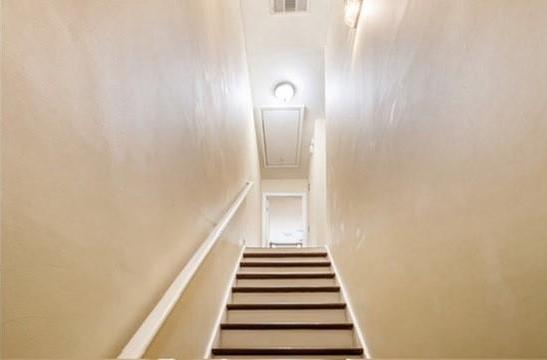 Photo #11
