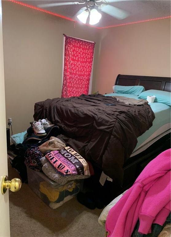 Photo #6