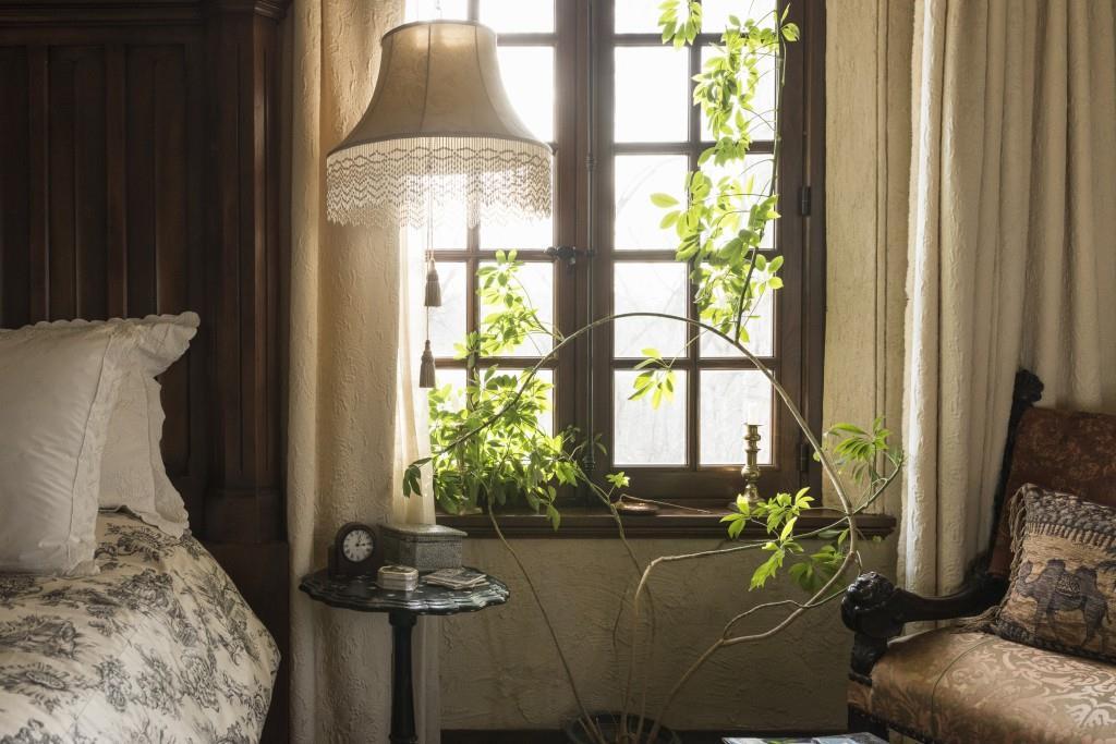 Photo #31