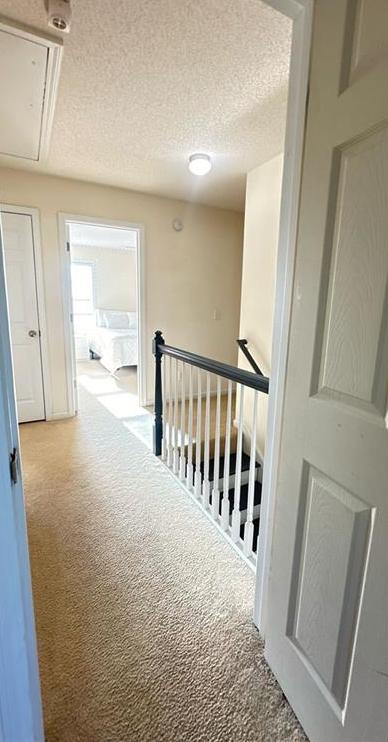 Photo #24